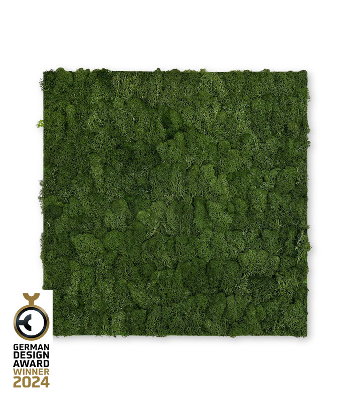 Wandpaneel Jangal Modular Wall 11103 Dark Green Moos 52 x 52 cm