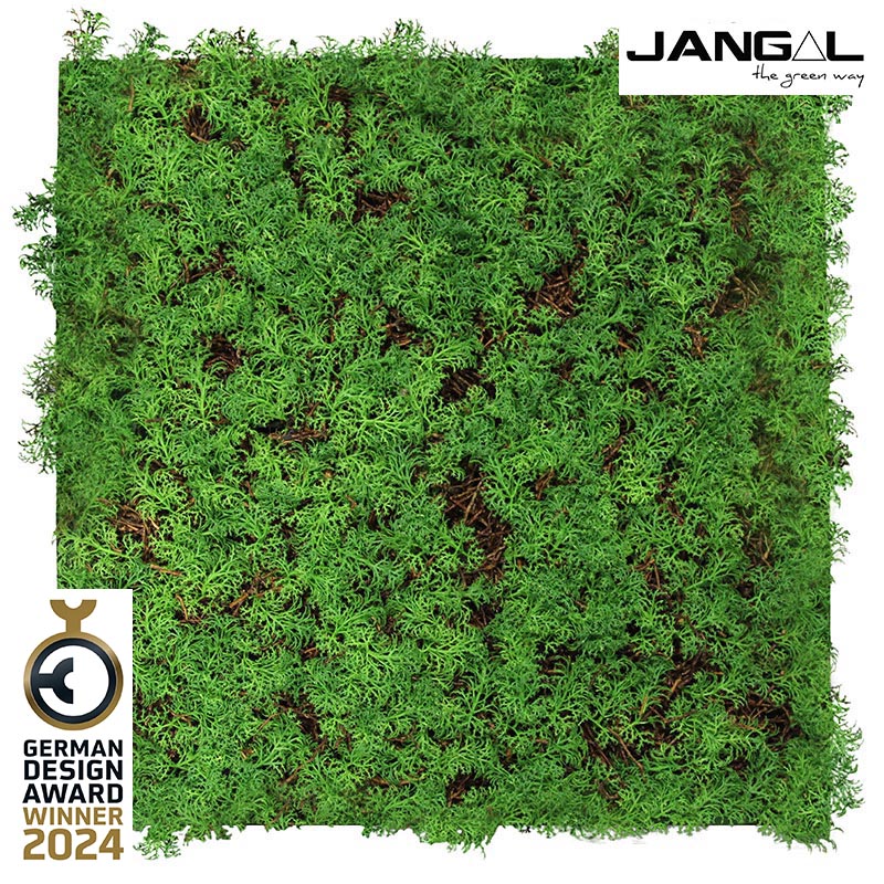 Wandpaneel Jangal Modular Wall 11105 Thuja Tea Tree 52 x 52 cm