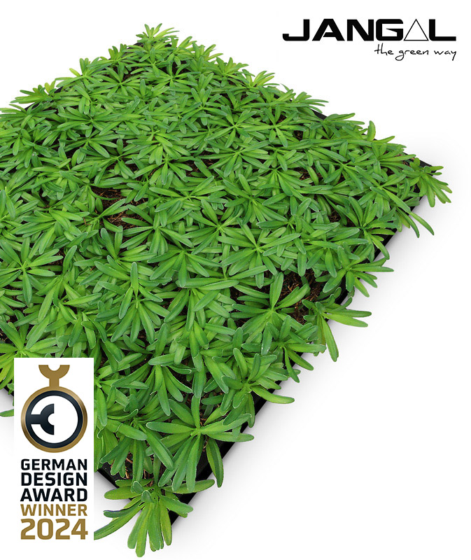 Wandpaneel Jangal Modular Wall 11104 Podocarpus Tea Tree 52 x 52 cm