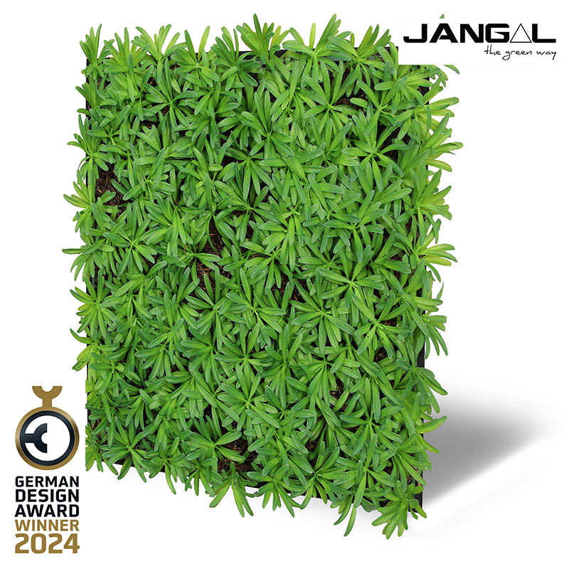 Wandpaneel Jangal Modular Wall 11104 Podocarpus Tea Tree 52 x 52 cm